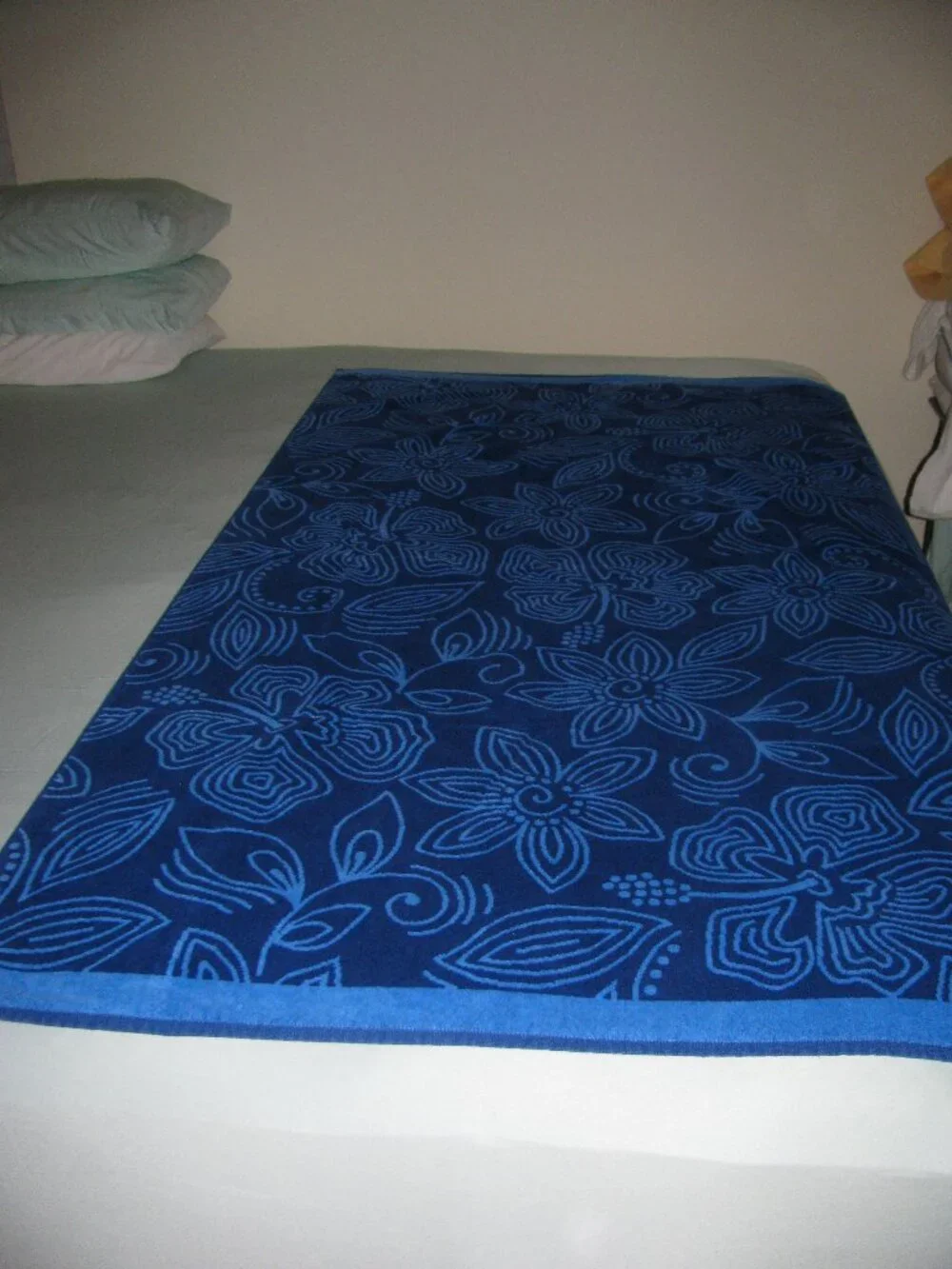 2 Extra Large Beach Towels - like new!
